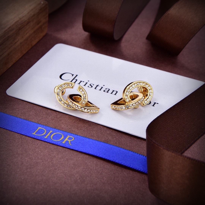 Christian Dior Earrings